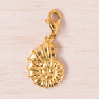 coquillage rond doré