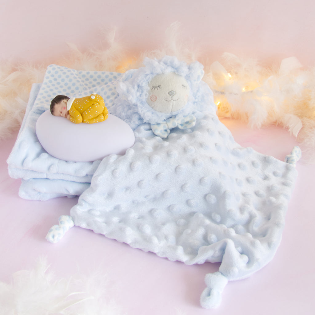 coffret couverture et doudou bleu veilleuse mixte