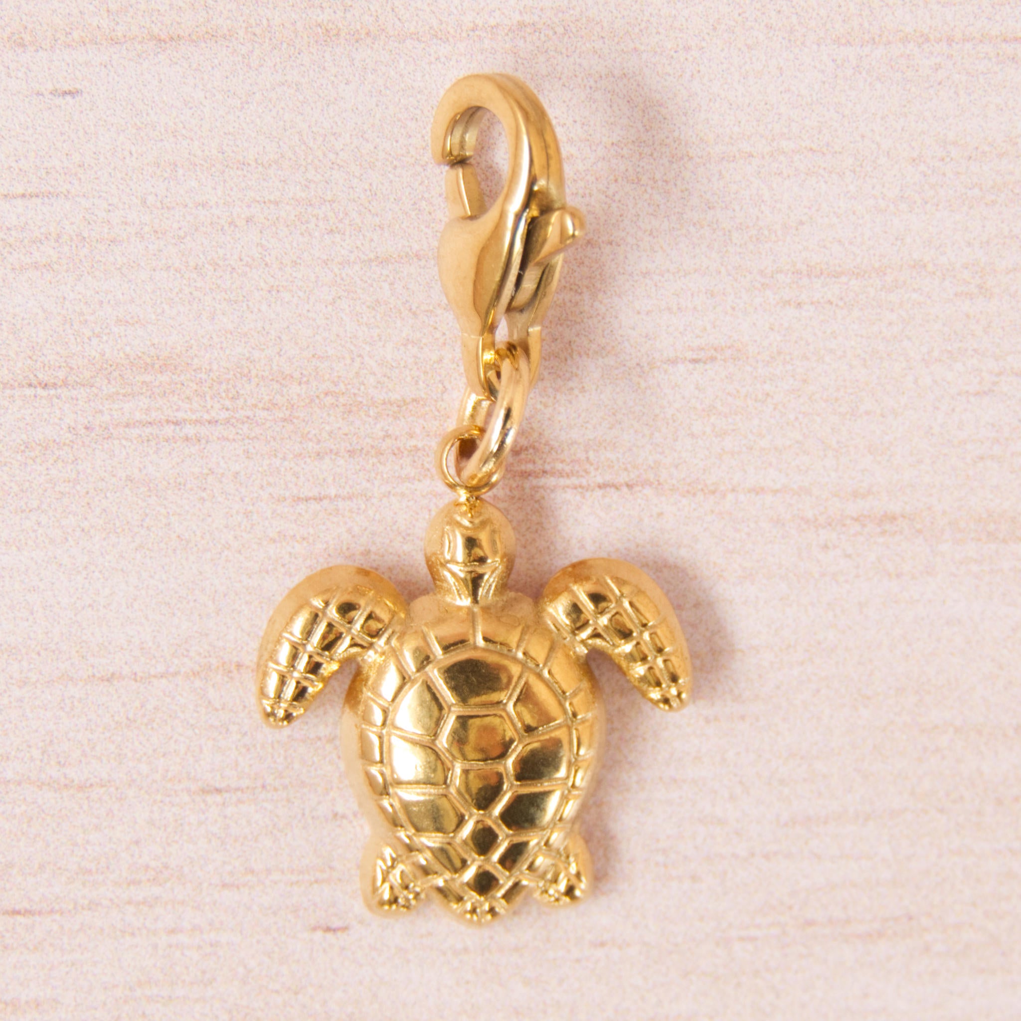 tortue doré