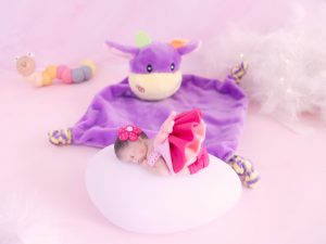 coffret bébé veilleuse fille framboise avec doudou vache violet