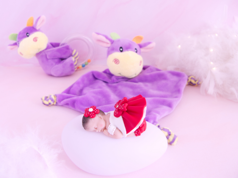 coffret veilleuse bébé fille rouge avec hochet et doudou vache violet